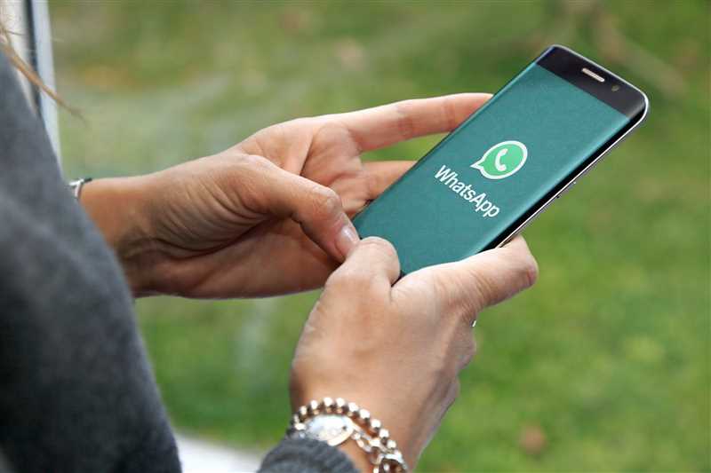 Обзор возможностей безопасности в WhatsApp и Telegram